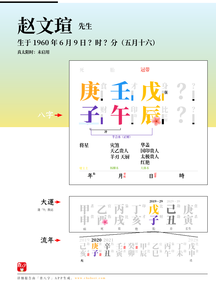 赵文瑄的出生日期生辰八字分析